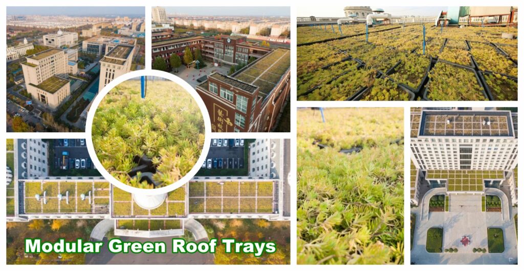 Unlocking the Potential of Green Roof Trays: A Game-Changer in Urban Sustainability