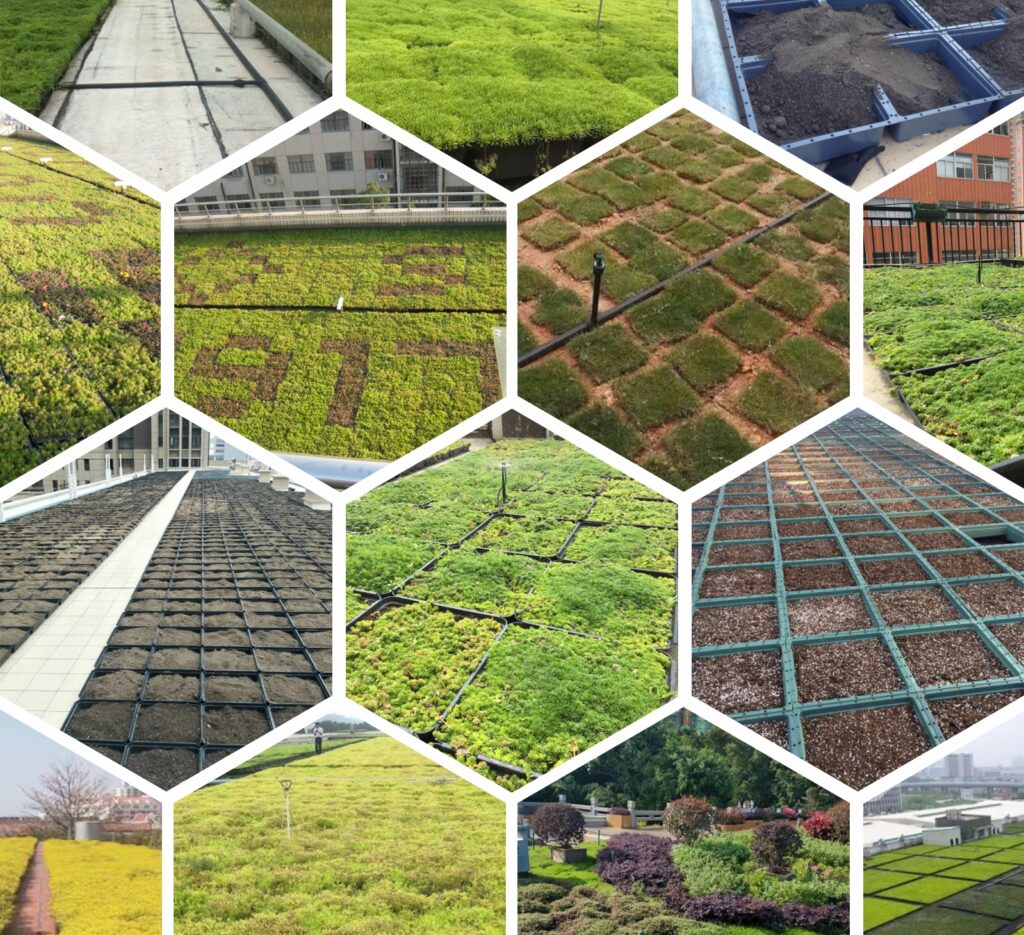 Unlocking the Potential of Green Roof Trays: A Game-Changer in Urban Sustainability