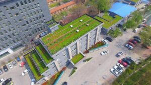 Explore the technical aspects of Layered and Tray Green Roof Systems with detailed insights into Hoensoey Cells and HT-508 trays. Ideal for architects and engineers seeking advanced green roofing solutions.