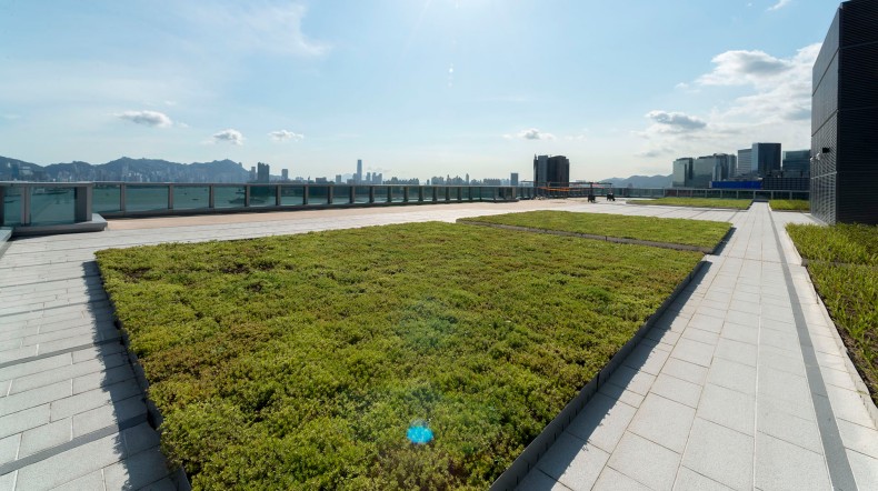 A detailed view of the HT-508 Green Roof Module in action, illustrating lush rooftop vegetation as part of sustainable urban development.